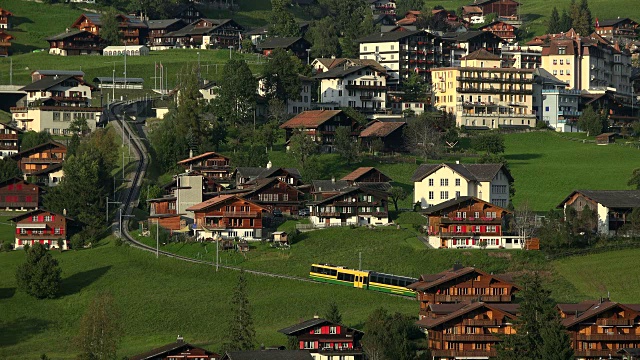 Grindelwald, Bernese Oberland，伯尔尼州，瑞士视频素材