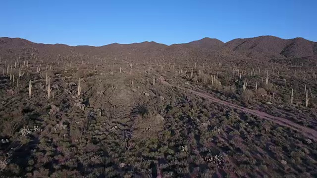 飞越仙人掌下山的踪迹-无人机无人机无人机4K亚利桑那沙漠仙人掌，踪迹，冒险，发现景观，cholla，美丽的4K自然/野生动物/天气无人机鸟瞰图视频素材