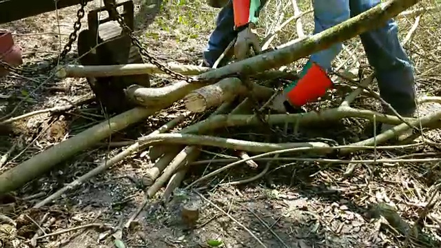 在德克萨斯州的森林地区，一名男子用拖拉机拖走小圆木。视频素材