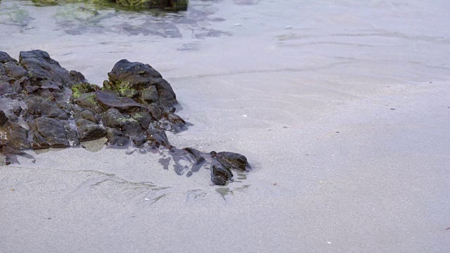 热带海滩视频素材