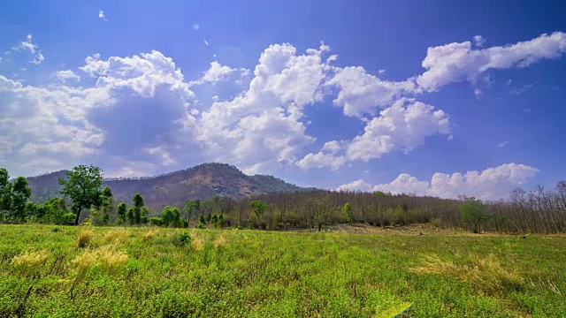 夏季田野景观与天空和云视频素材