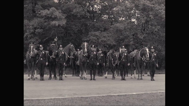 美国军官在进行阅兵演习视频素材