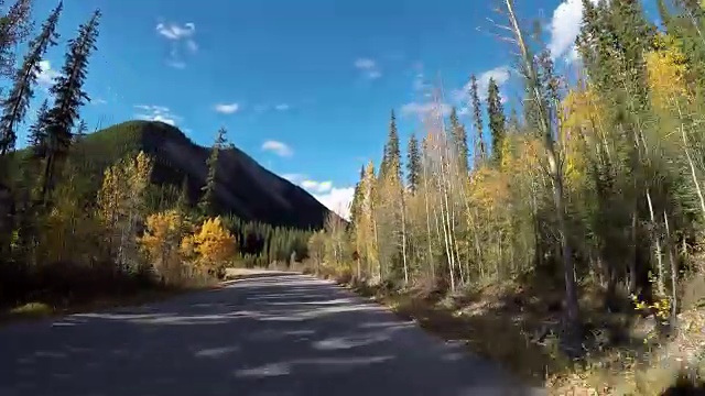 POV在风景优美的道路上行驶视频素材