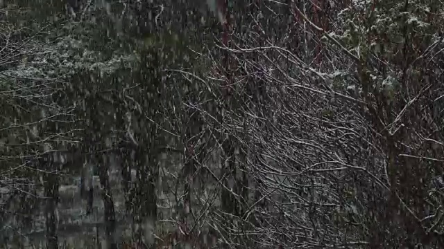 下雪视频素材