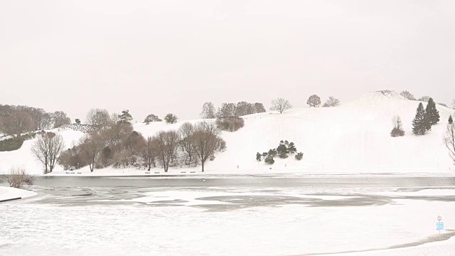 公园里有暴风雪视频下载