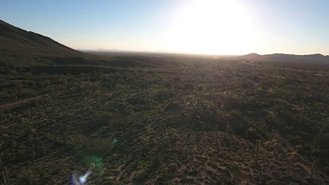 Cactus field with lens flare straight-无人机无人机无人机4K亚利桑那沙漠仙人掌，足迹，冒险，发现景观，cholla，美丽的4K自然/野生动物/天气无人机鸟瞰图视频素材