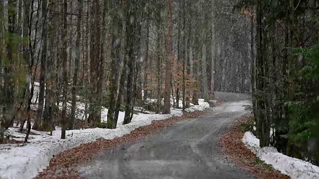 森林道路在冬天下雪，巴伐利亚森林，德国巴伐利亚视频素材