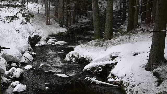 德国巴伐利亚州的巴伐利亚森林，冬季降雪时的森林小溪视频素材