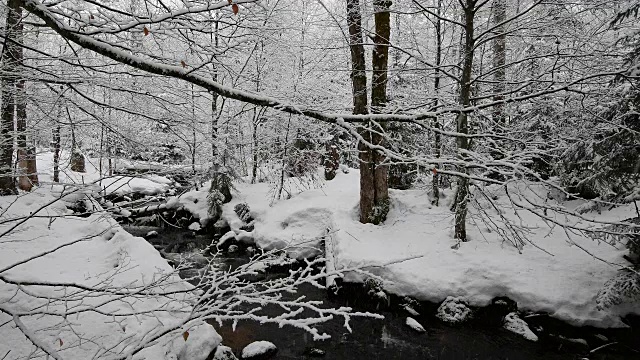 德国巴伐利亚州的巴伐利亚森林，冬季降雪时的森林小溪视频素材