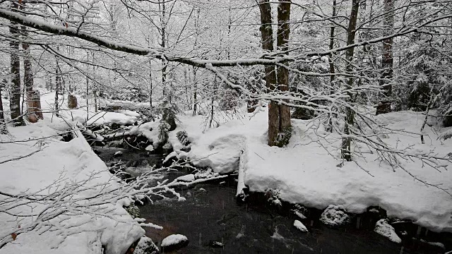 德国巴伐利亚州的巴伐利亚森林，冬季降雪时的森林小溪视频素材