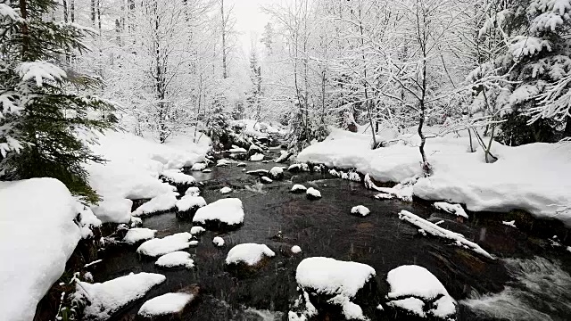 德国巴伐利亚州的巴伐利亚森林，冬季降雪时的森林小溪视频素材