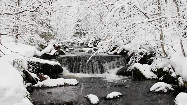 德国巴伐利亚州的巴伐利亚森林，冬季降雪时的森林小溪视频素材