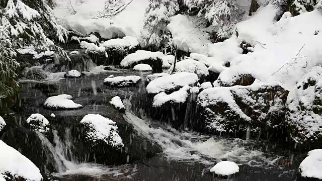 德国巴伐利亚州的巴伐利亚森林，冬季降雪时的森林小溪视频素材