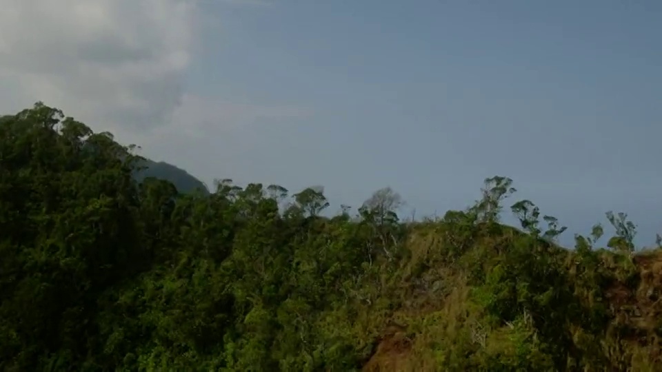 茂盛的树叶覆盖着夏威夷考艾岛纳帕利海岸的山脊。视频素材