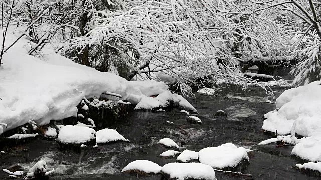 德国巴伐利亚州的巴伐利亚森林，冬季降雪时的森林小溪视频素材