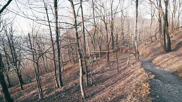 山地自行车下山穿过森林视频素材