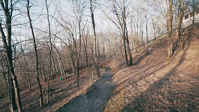 山地自行车下山穿过森林视频素材