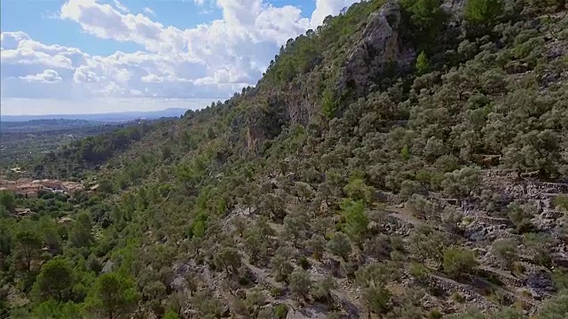 西班牙马略卡岛Tramuntana山脉和山坡上的橄榄树(梯田)视频素材