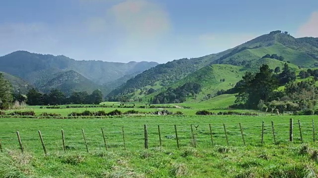 新西兰卡里卡里半岛田野上的雨视频素材