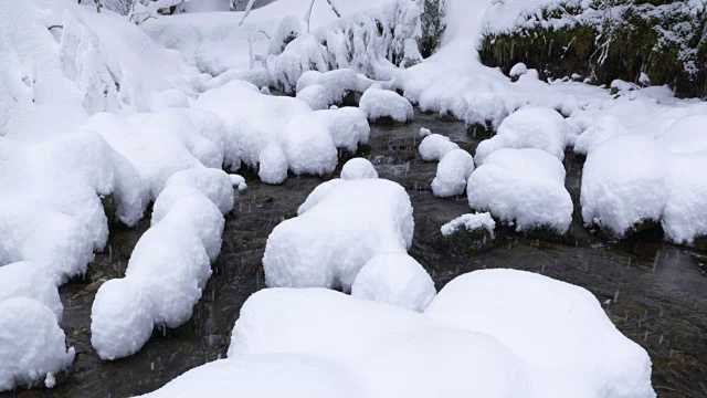 小溪与深雪在下雪。视频素材