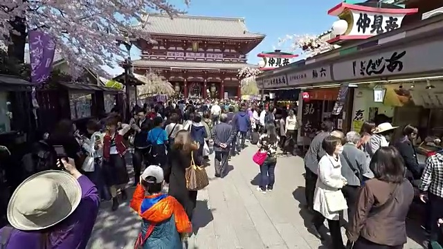 东京的樱花节视频素材