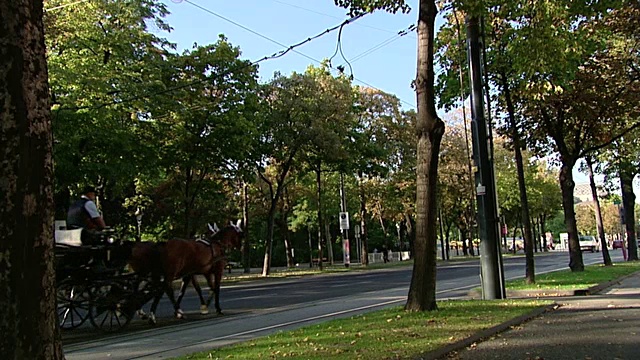 维也纳剧院兼歌剧院维也纳啤酒馆第二集视频素材