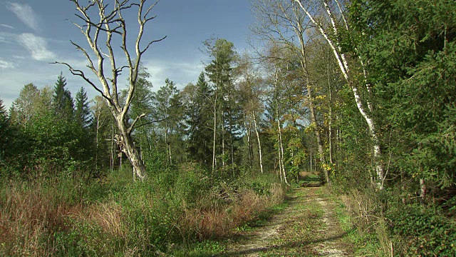 Landschaftsaufnahmen -源自Obertrumersee 06的摩尔人视频素材