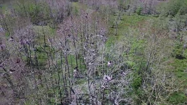 4K自然/野生动物/气象无人机航拍视频视频素材