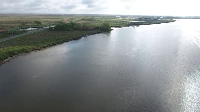 路易斯安那河与鸟类在远处飞行无人机空中4K大沼泽地，沼泽河口与野生动物鳄鱼筑巢朱鹭，蛇眼镜蛇，鸬鹚，雪鹭，鹭，鹰，鹰，柏树4K自然/野生动物/气象无人机空中视频视频素材