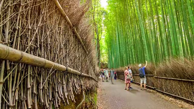 高清延时:旅行者在岚山竹径京都，日本。视频素材