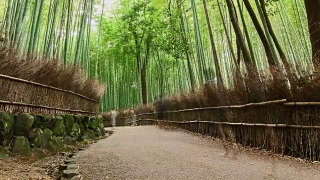 高清延时:旅行者在岚山竹径京都，日本。视频素材