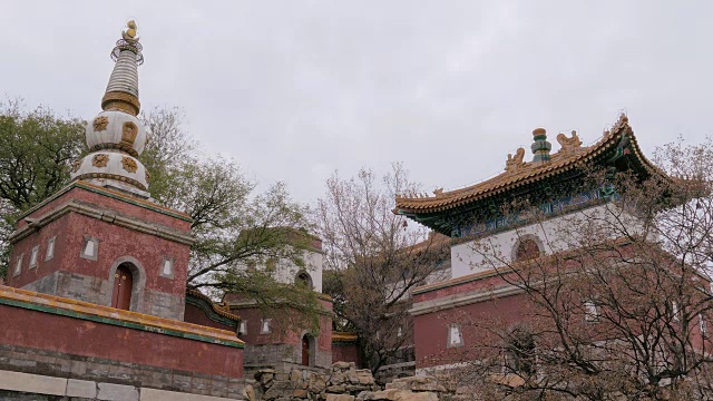 颐和园宝塔，北京万寿山视频素材