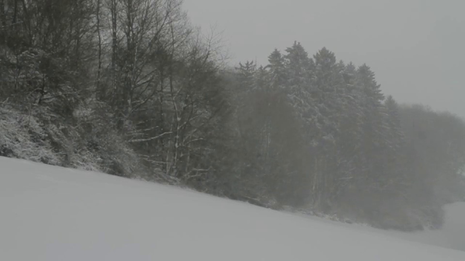 森林里下着大雪。视频素材