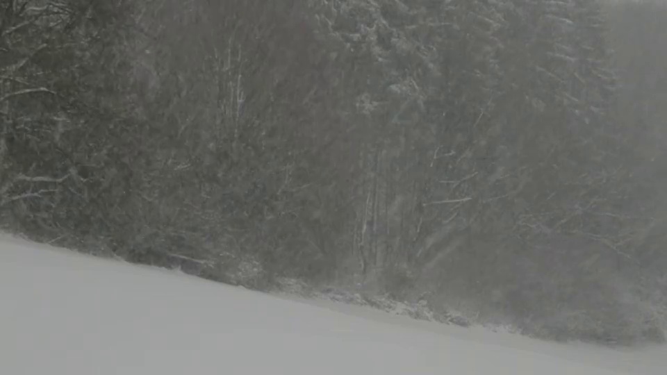 森林里下着大雪。视频素材