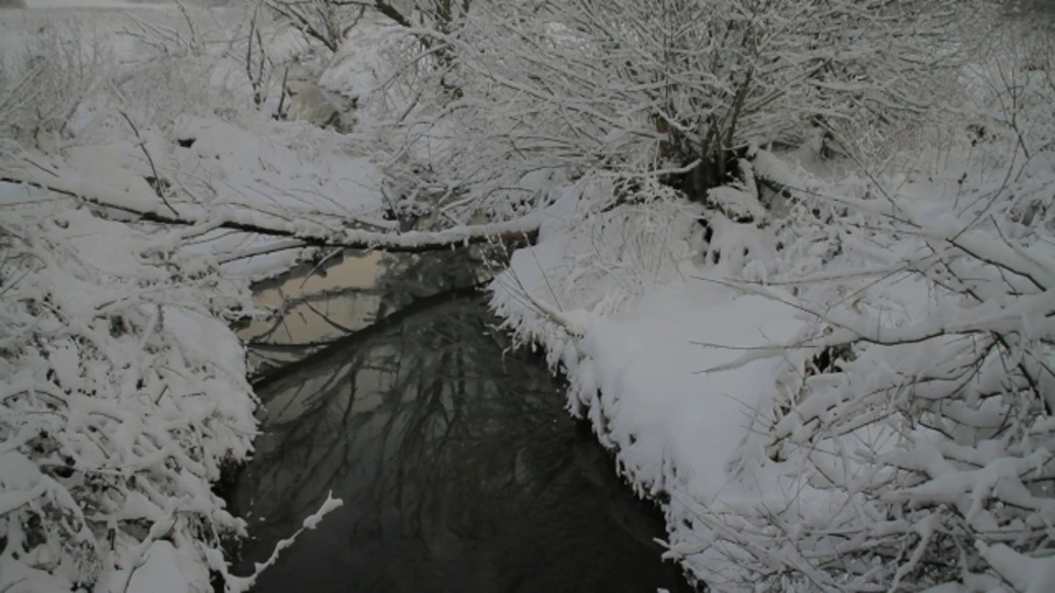 雪覆盖了小溪周围的树木和灌木。视频素材