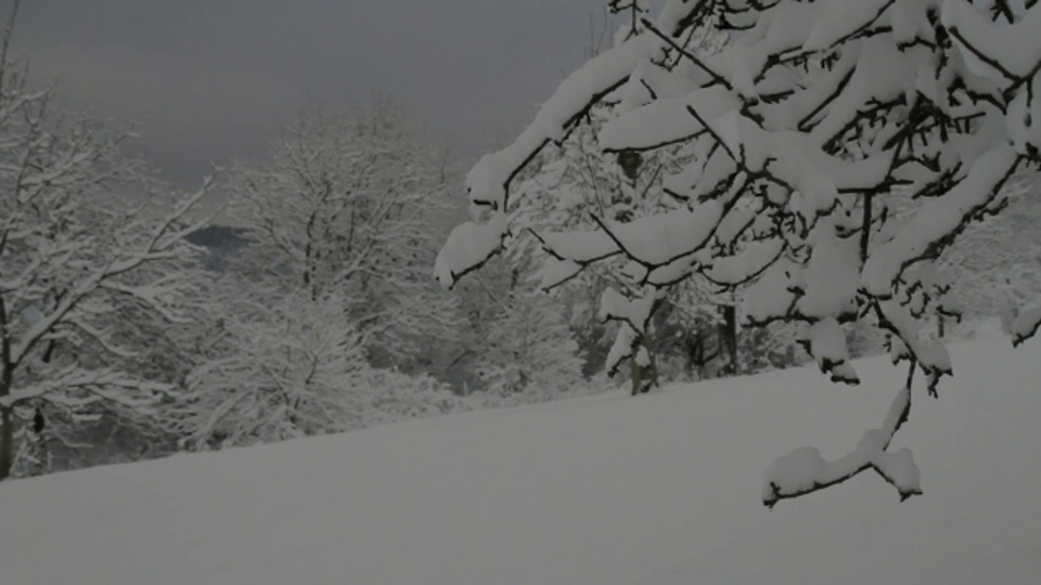 在乡下，厚厚的积雪覆盖着树木和田野。视频素材