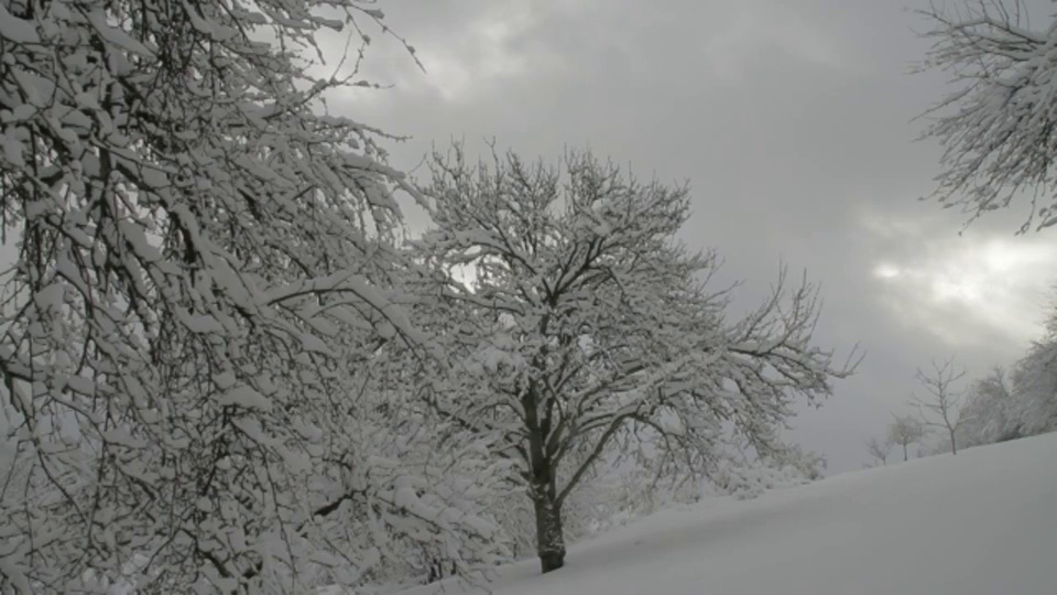 灰色的云在白雪覆盖的乡村上空移动。视频素材