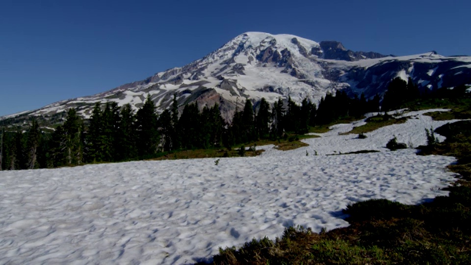 宽潘雪山雷尼尔与松树林和雪域草地在前景视频素材