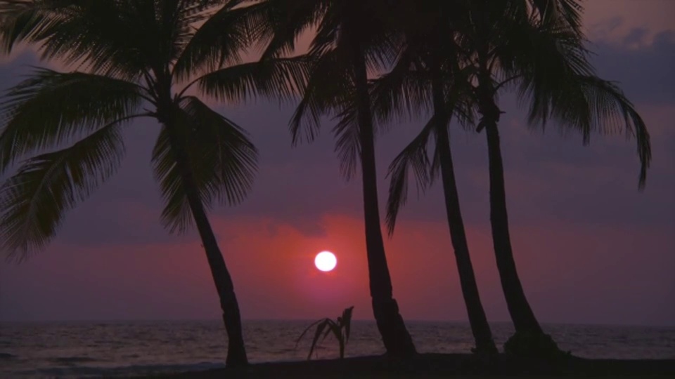 棕榈树在夏威夷大岛的海滩上勾勒出太平洋日落。视频素材