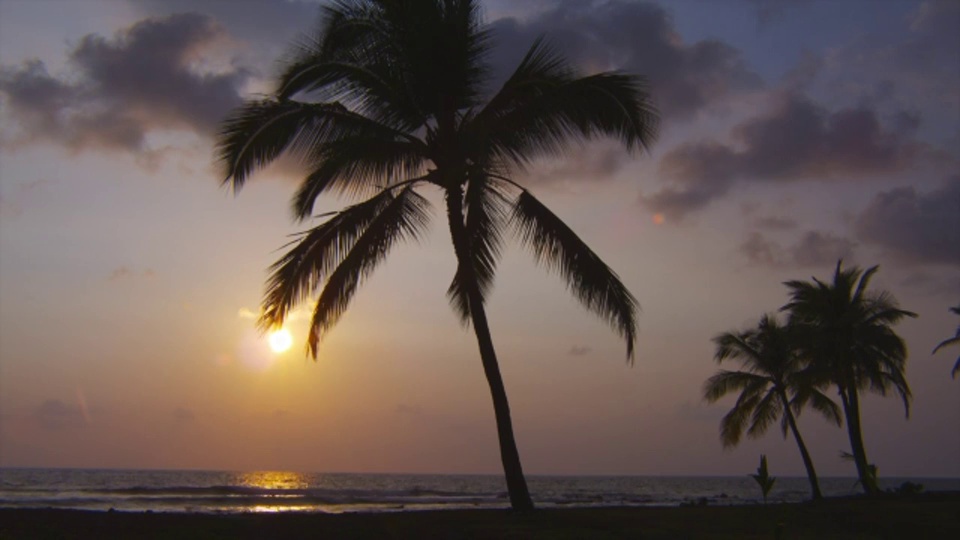 在夏威夷凯卡哈凯州立公园的Mahaiula海滩上，棕榈树在夕阳下摇摆。视频素材