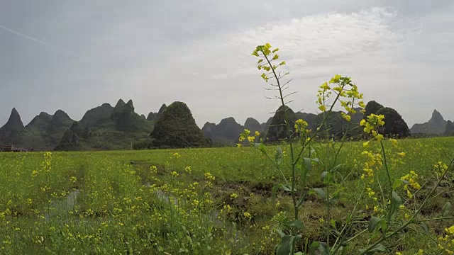 一天,你好视频素材