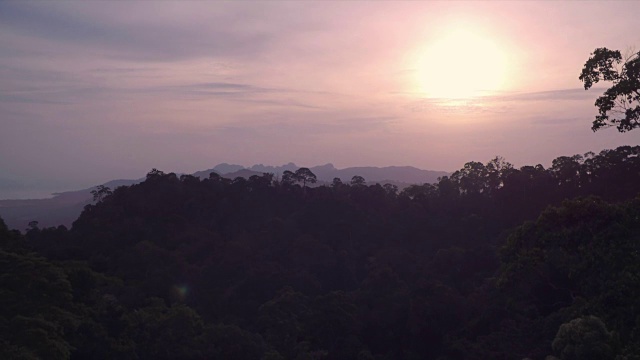 日落时分，马来西亚兰卡威岛的山丘上，雨林的树冠显露出来视频下载