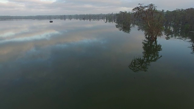 沼泽静态视图-无人机空中4K湿地，沼泽河口与野生动物鳄鱼筑巢朱鹭，蛇眼镜蛇，鸬鹚，白鹭，鹭，蓝鹭，鹰，鹰，柏树4K自然/野生动物/天气视频素材