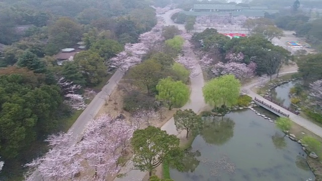 空龟头岛位于无锡市太湖樱花谷风景区视频下载