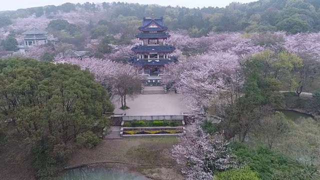 空龟头岛位于无锡市太湖樱花谷风景区视频下载