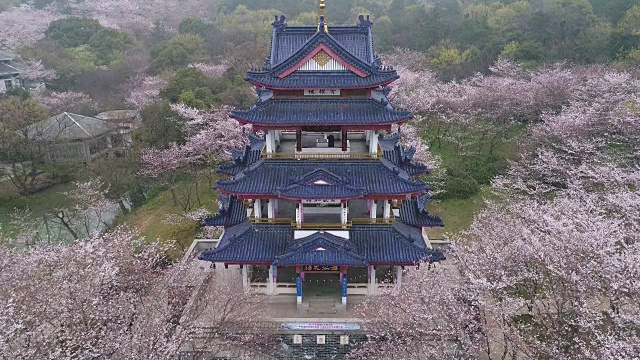 空龟头岛位于无锡市太湖樱花谷风景区视频素材