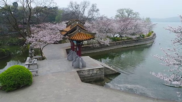 空中龟头岛在无锡市太湖樱花风景区视频素材