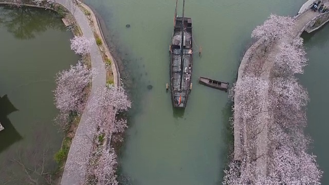 空龟头岛位于无锡市太湖樱花景区视频下载