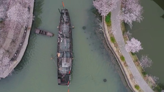 空龟头岛位于无锡市太湖樱花景区视频下载