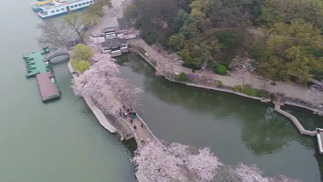 空龟头岛位于无锡市太湖樱花景区视频下载